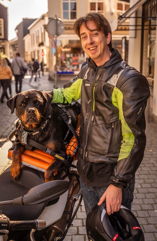 A Rottweilers terrible life